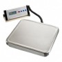 Weegschaal 60 kg / 20 gr  met plateau 320 x 300 mm. 311.060